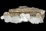 Columnar Calcite Crystal Cluster - China #164003-1